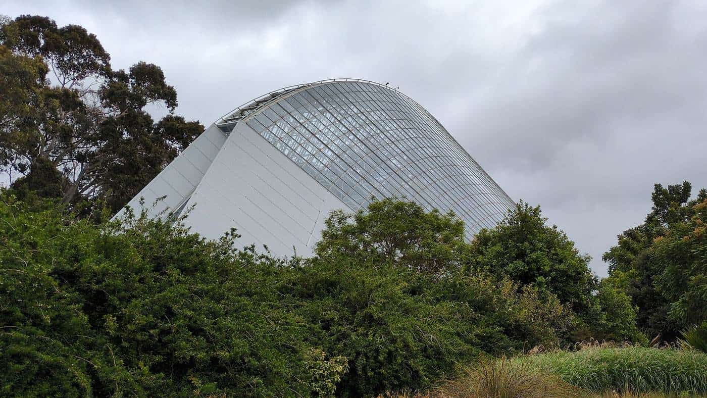 The curved glass Bicentennial Conservatory in Adelaide Botanic Garden
