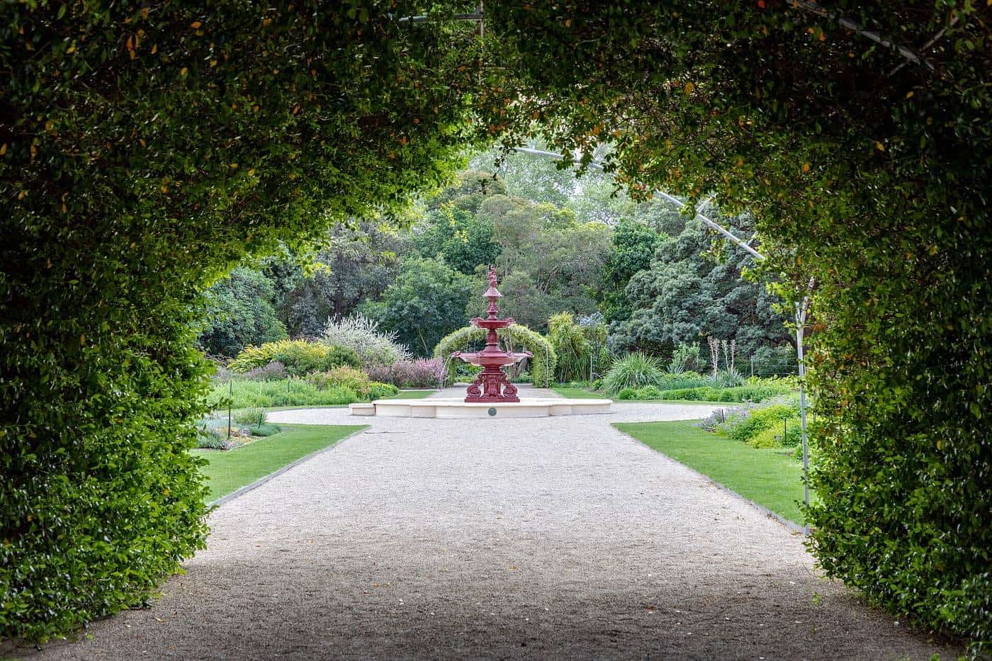 A leafy arch framing a path and fountain in Adelaide Botanic Garden